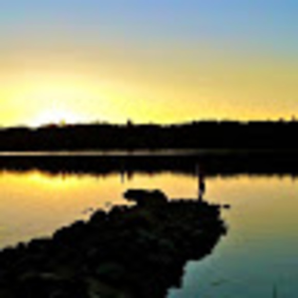 Meet your Posher, Renee - Picture 2 of 2